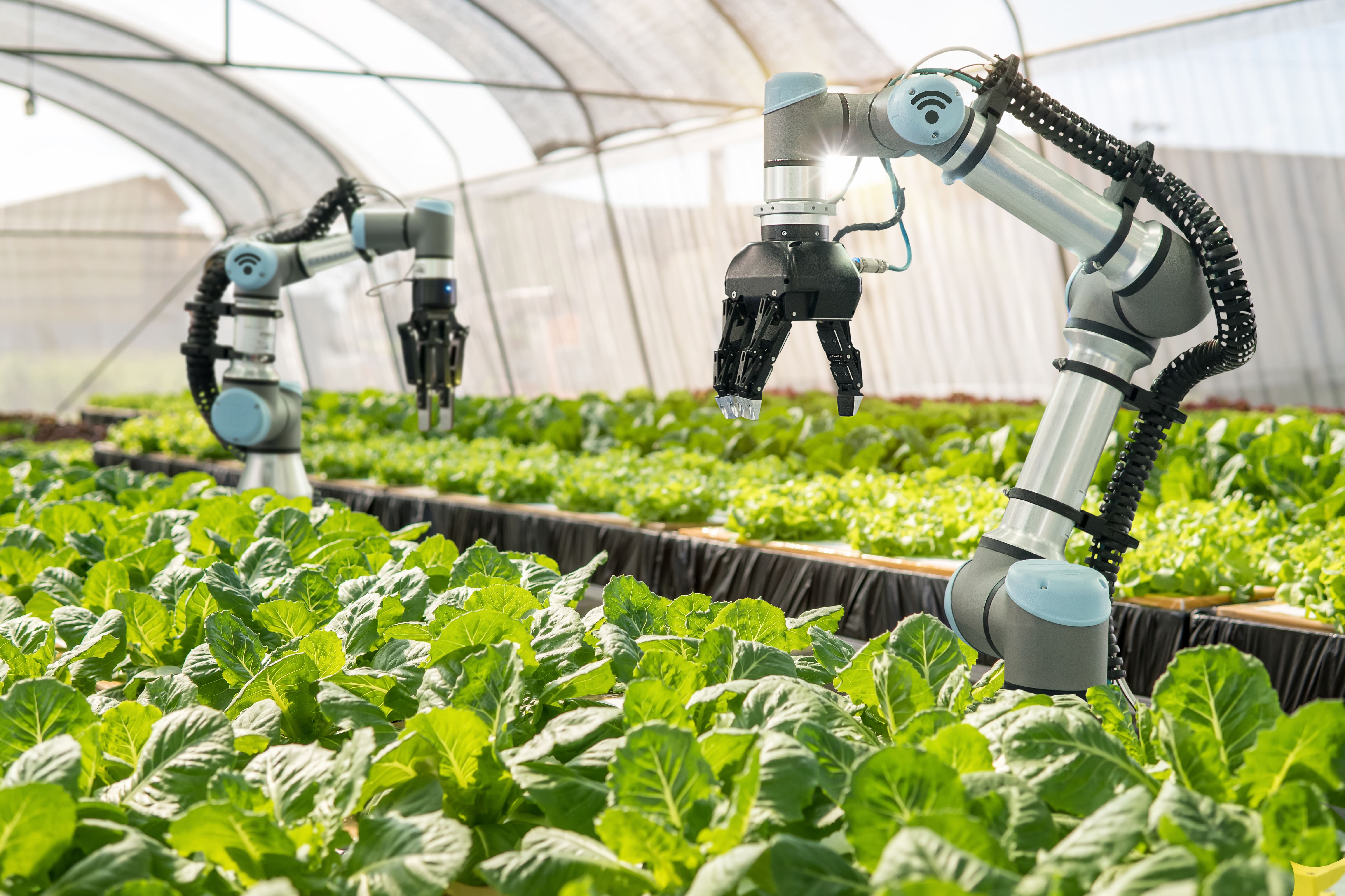 Научное овощеводство. Сельскохозяйственные роботы. Технологии в сельском хозяйстве. Роботизация сельского хозяйства. Робототехника в сельском хозяйстве.